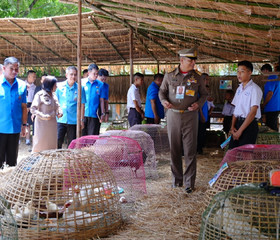 พลเรือเอก พงษ์เทพ หนูเทพ องคมนตรี ... พารามิเตอร์รูปภาพ 1