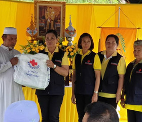 มูลนิธิราชประชานุเคราะห์ ... พารามิเตอร์รูปภาพ 3