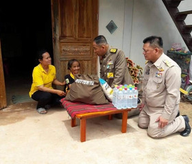 พระบาทสมเด็จพระเจ้าอยู่หัว ... พารามิเตอร์รูปภาพ 11