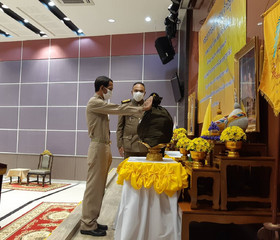 พระบาทสมเด็จพระเจ้าอยู่หัว ... พารามิเตอร์รูปภาพ 8