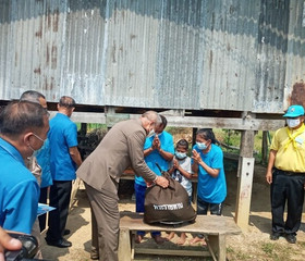 มูลนิธิราชประชานุเคราะห์ ในพระบรมราชูปถัมภ์ ... พารามิเตอร์รูปภาพ 7