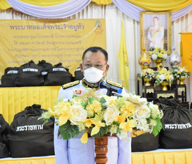 พลเอก ดาว์พงษ์ รัตนสุวรรณ องคมนตรี ... พารามิเตอร์รูปภาพ 2
