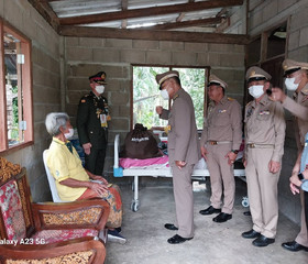 พลเอก ดาว์พงษ์ รัตนสุวรรณ องคมนตรี ... พารามิเตอร์รูปภาพ 6